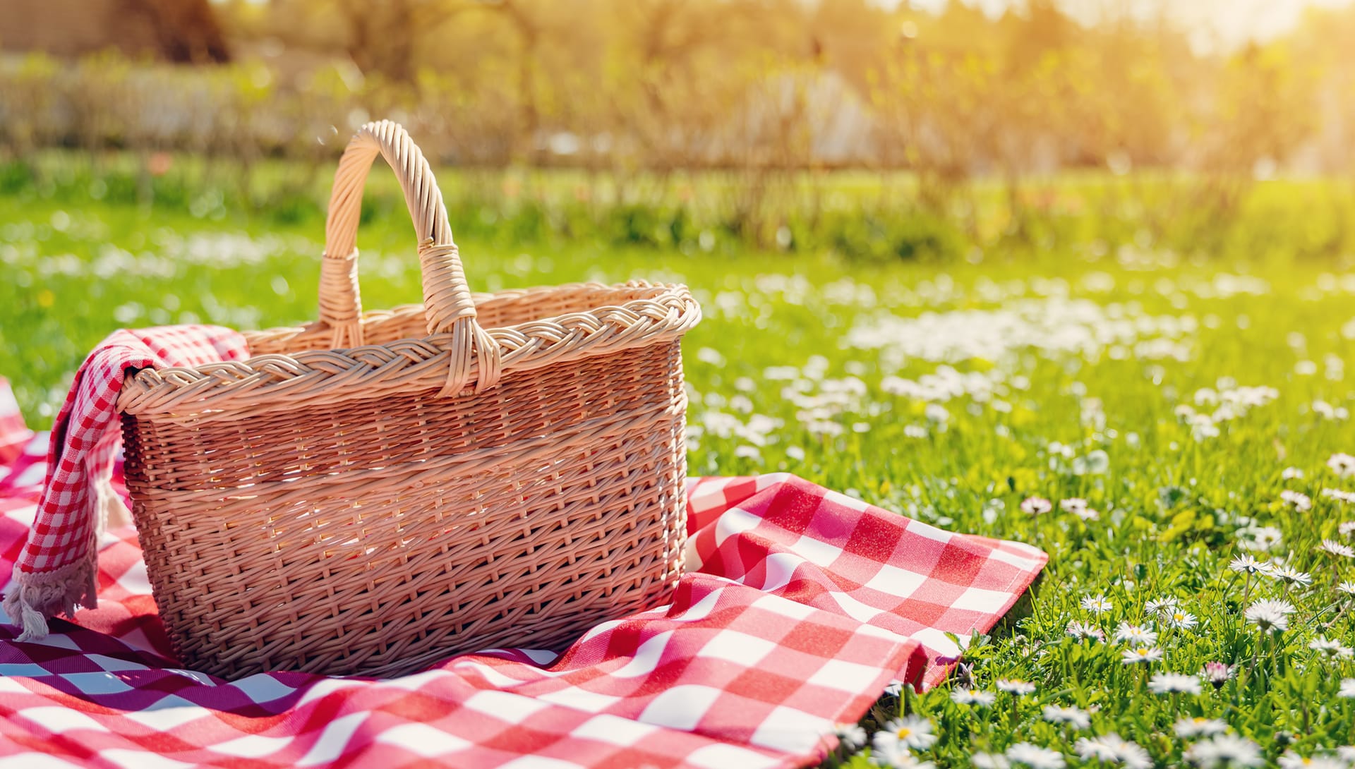 picnic basket